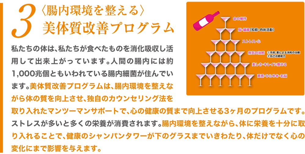 美体質改善プログラム
